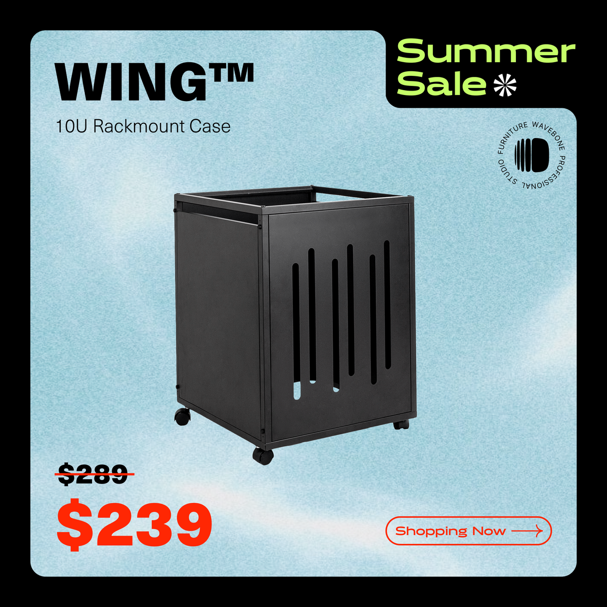 Wing™ 10U Rack Case